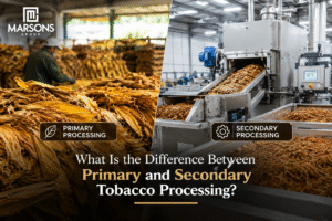 primary vs secondary tobacco processing