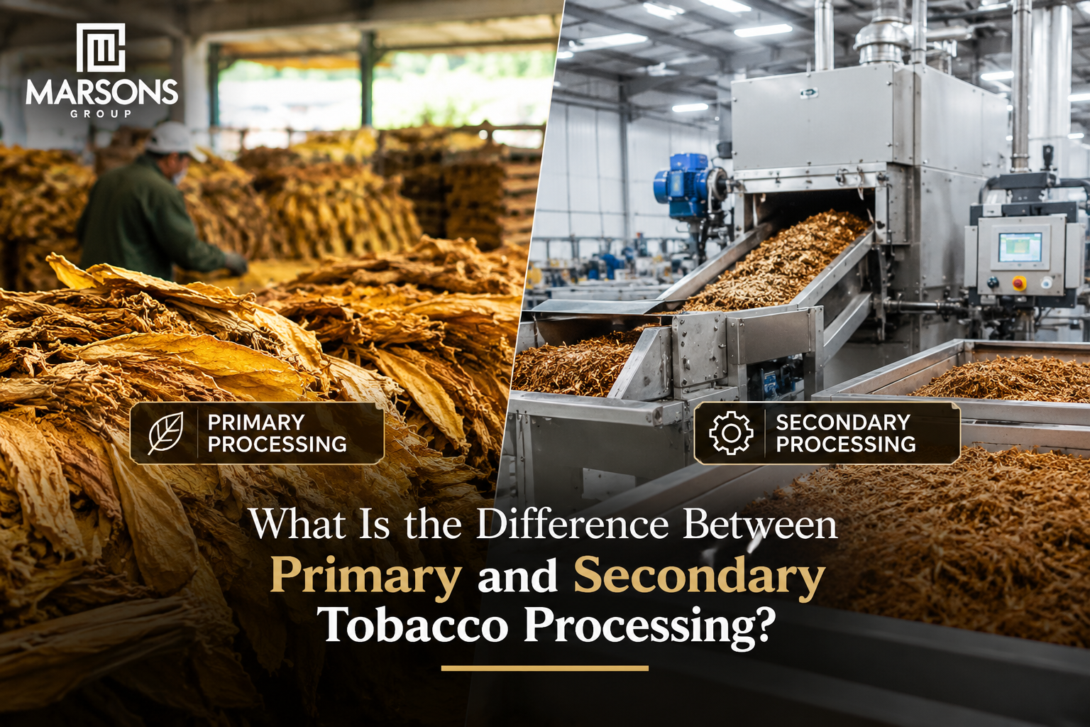 primary vs secondary tobacco processing
